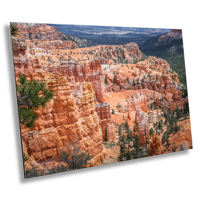 Layers of Light: Bryce Canyon National Park Utah Wall Art Metal Canvas Print Amphitheater Landscape Photography