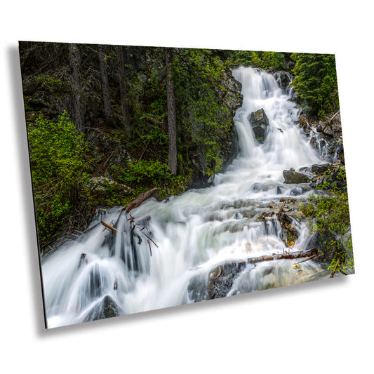 Lost in Wonder: Lost Creek Falls Photography Wall Art Lewis and Clark National Forest Montana Landscape Metal Acrylic Print