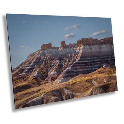 Majestic Desert Landscape: Petrified Forest Photography Metal Acrylic Wall Art Print Arizona Landscape