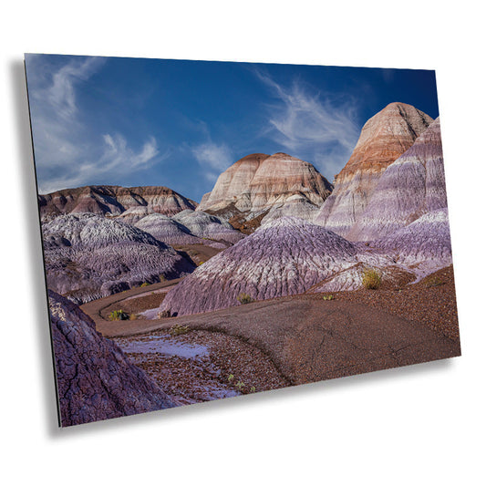 Nature's Ancient Relics: Petrified Forest Wall Art National Park Canvas Print Arizona Landscape Photography