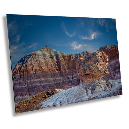 Rustic Petrified Beauty: Petrified Forest Blue Mesa Trail Wall Art National Park Metal Acrylic Print Arizona Landscape Photography