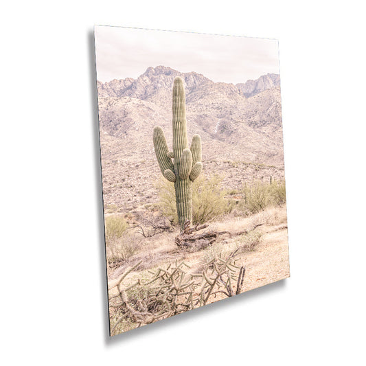 Sculpted Echoes of Nature: Saguaro Cactus Arizona Wall Art Photography Southwestern Cactus Metal Aluminum Print