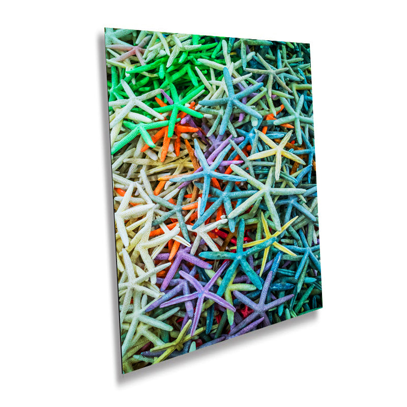 Seaside Jewels: Starfish Galore! Key West Florida Beach Seascape Photography Colorful Sea Creatures Wall Art Canvas