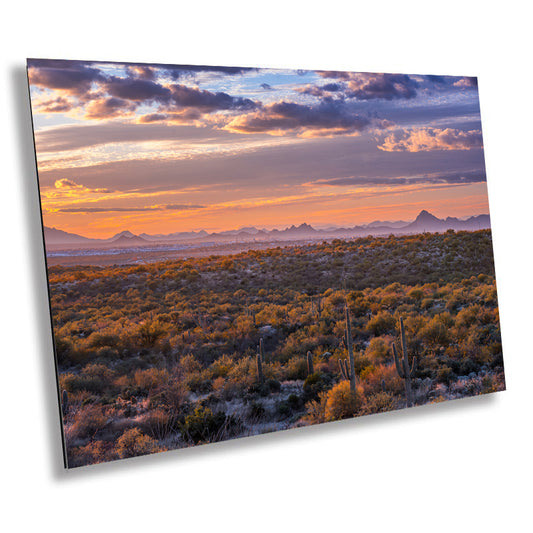 Sensational Sonoran Sunset: Saguaro National Park Cactus Desert Wall Art Metal Canvas Print Arizona Landscape Photography