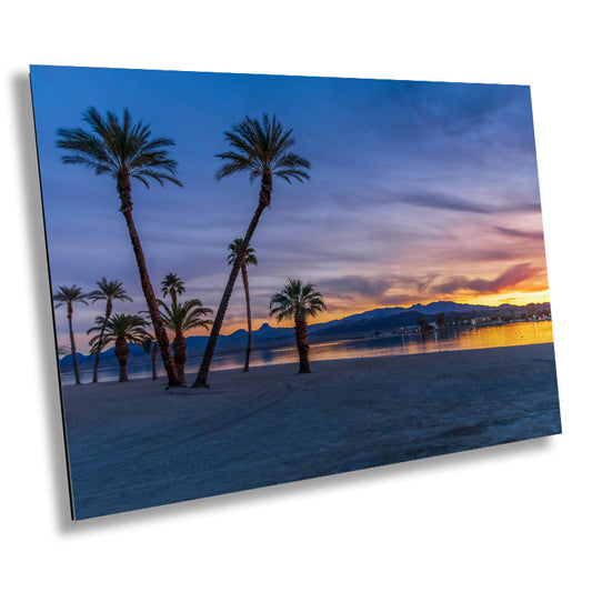 Serene Palm Scenery: Palm Trees at the Lake Havasu Rotary Park Metal Canvas Print Arizona Landscape Wall Art