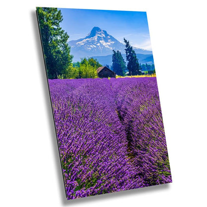 Serenity Blooms: Mt Hood Lavender Fields (Portrait) - Flower Photography Wall Art Canvas Print