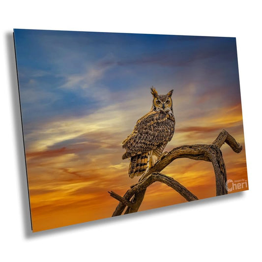 Silent Vigil: Great Horned Owl On a Branch Photography Painted Sky Canvas Print Bird Metal Wall Art