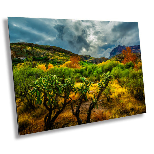 Stormy Glow: Arizona American Southwest Landscape Photography Nature Wall Art Nature Canvas Print