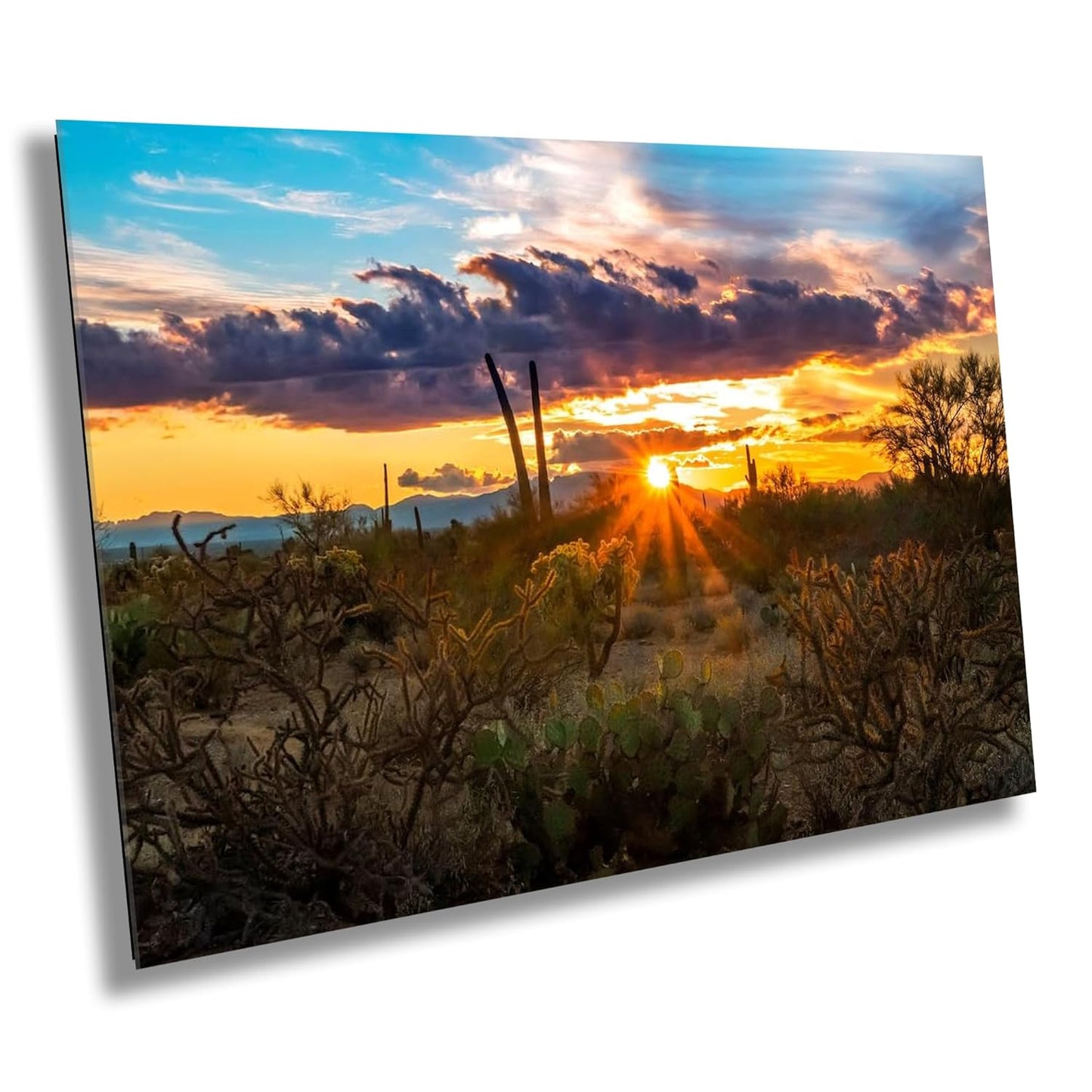 Sun-Kissed Beauty: Sonoran Desert Sunset Arizona Landscape Photography Canvas Print Home Wall Art