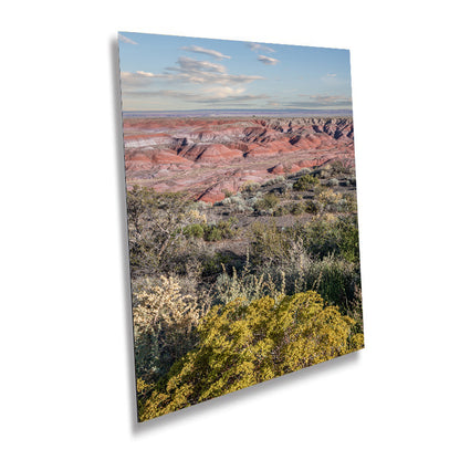 Timeless Desert Beauty: Painted Desert Wall Art Petrified Forest National Park Metal Acrylic Print Arizona Portrait