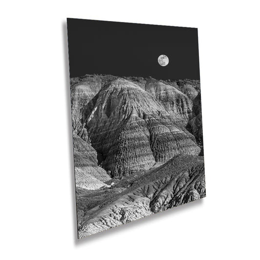 Timeless Natural Beauty: Petrified Forest Wall Art Arizona Portrait Metal Canvas Print