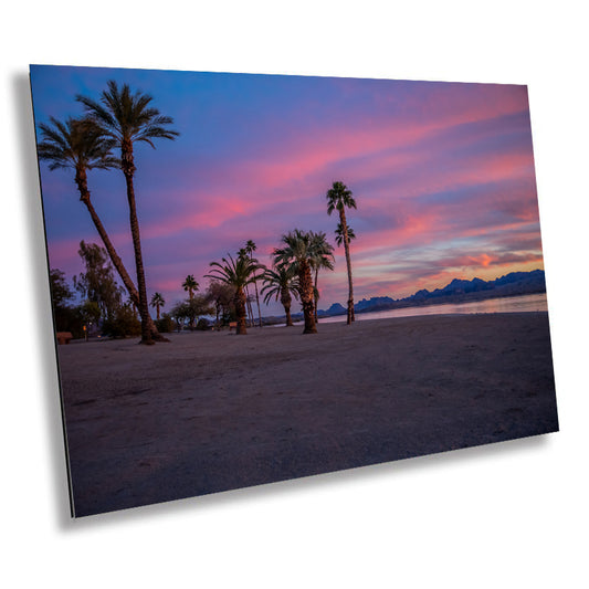 Tropical Lake Beauty: Palm Trees at the Lake Havasu Rotary Park Metal Acrylic Print Arizona Beachfront Landscape Wall Art