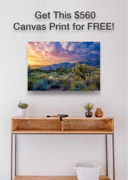 Get This FREE $560 Print When You Sign Up For The "I Love Arizona" VIP Print of The Month Club