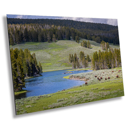 Valley of Wonders: Hayden Valley Yellowstone Wall Art National Park Metal Aluminum Print Yellowstone Lake Photography