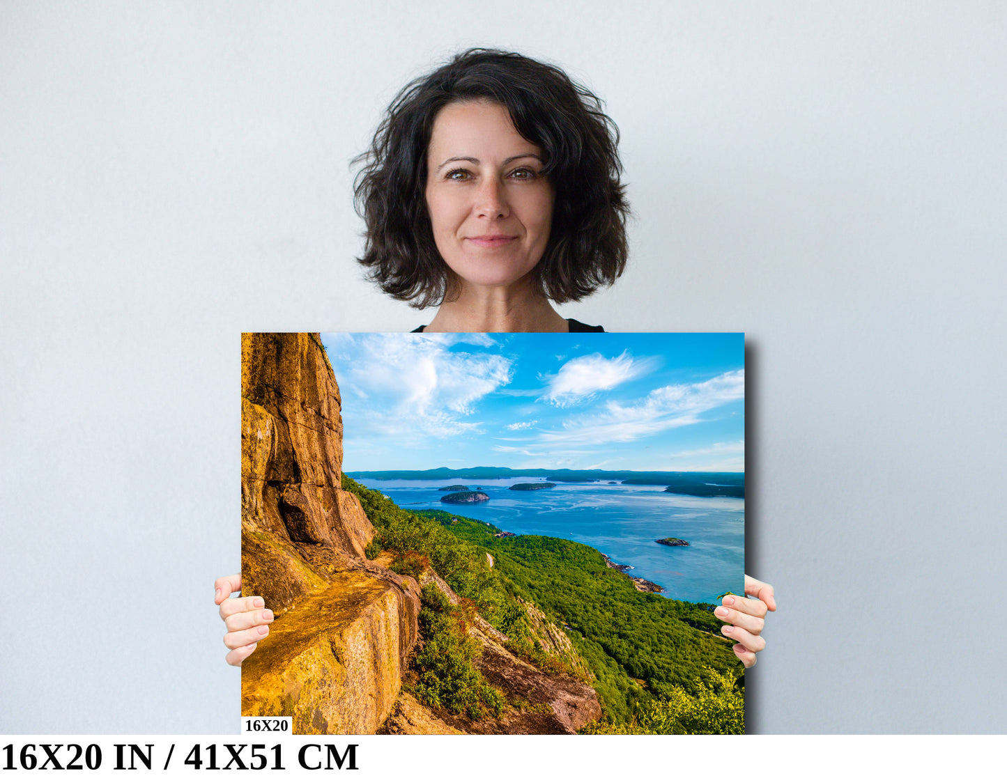 Vertical Wonder: The Precipice Trail in Acadia National Park Wall Art Maine Landscape Photography