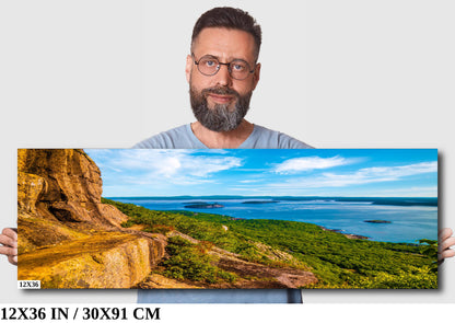 Vertical Wonder: The Precipice Trail in Acadia National Park Wall Art Maine Landscape Photography