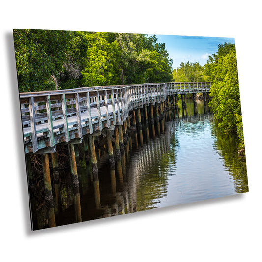 Whispers of the Mangrove: Boardwalk Bridge Robinson Preserve Wall Art Mangrove Forest Nature Photography