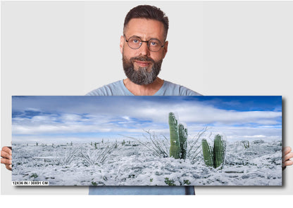 The White Desert: Snowfall in Saguaro National Park Tucson Arizona Print Wall Art Photography Aluminum/Acrylic/Metal/Canvas