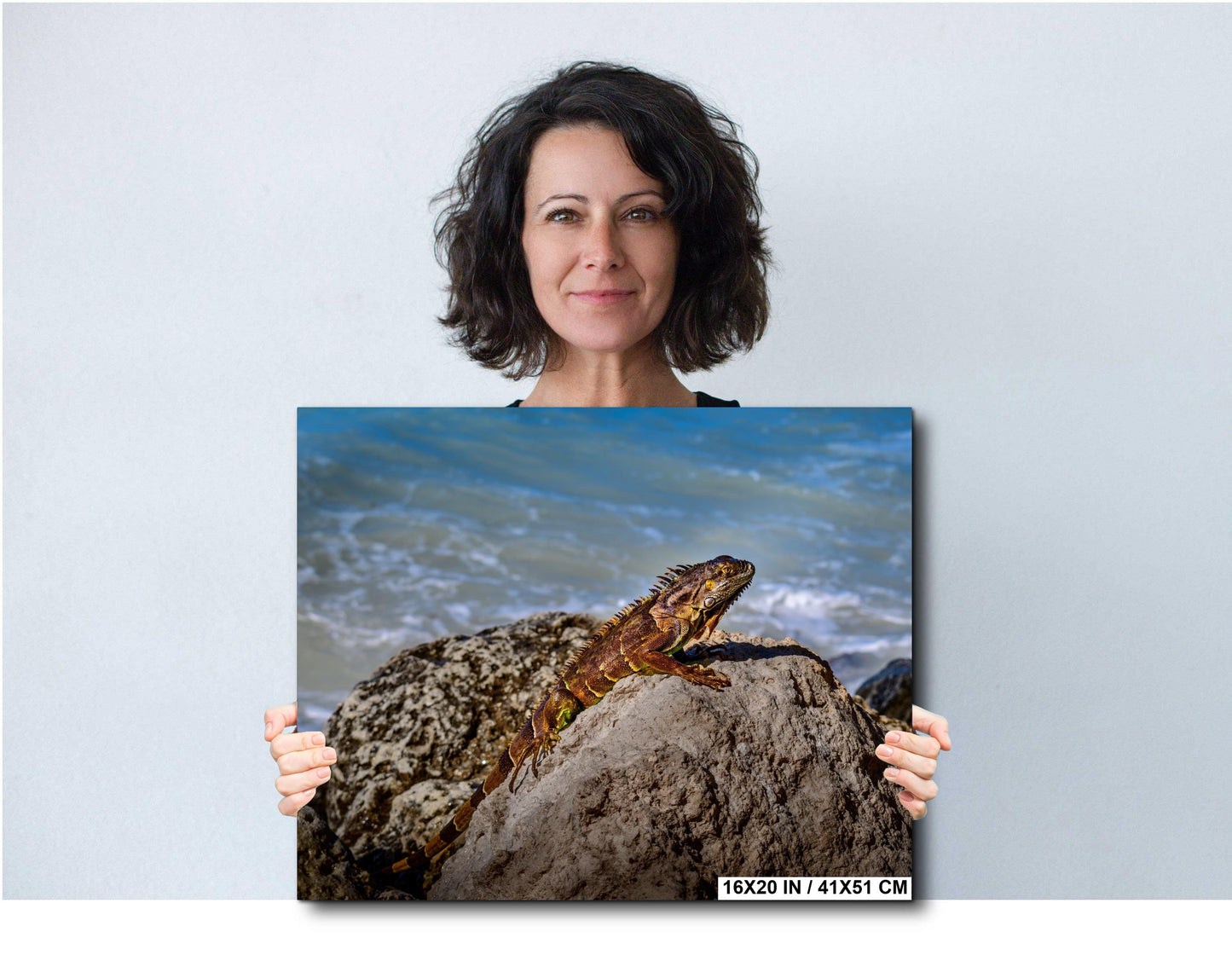 Key West Iguana on Coastal Rocks Fine Art Photography Print, Florida Wildlife Photo, Ocean Shore Nature Decor Reptile Wall Art Metal Canvas