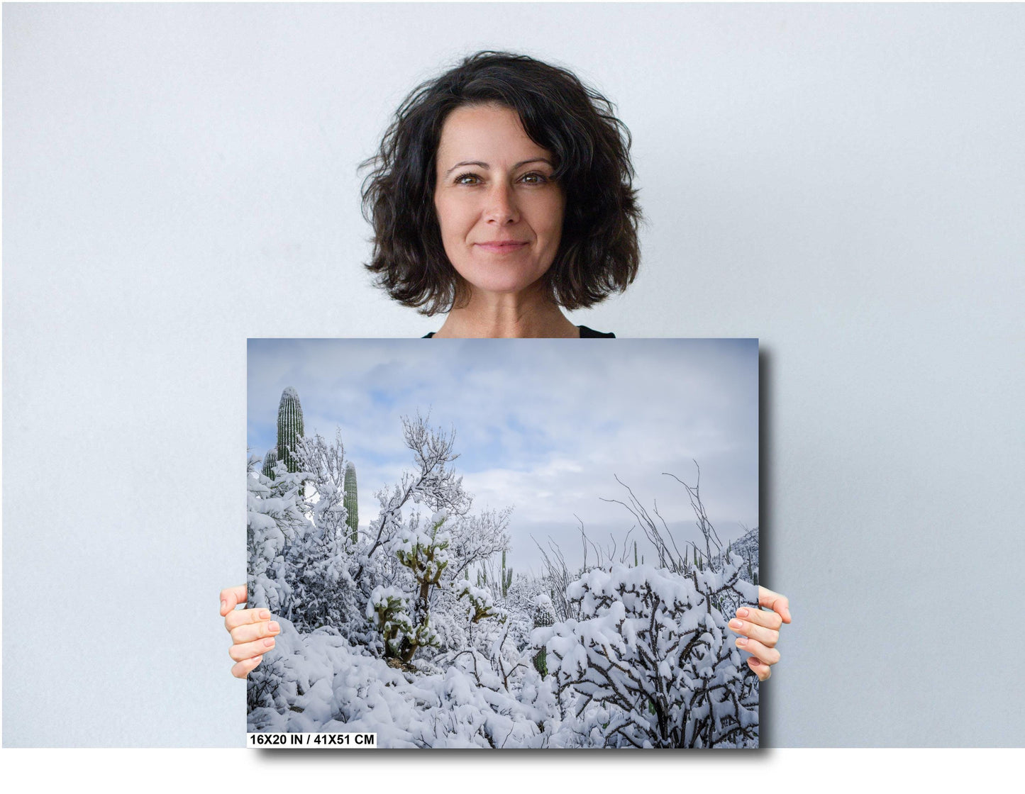 Desert’s Quiet Winter Beauty: Saguaro National Park Tucson Arizona Print Wall Art Photography Aluminum/Acrylic/Metal/Canvas