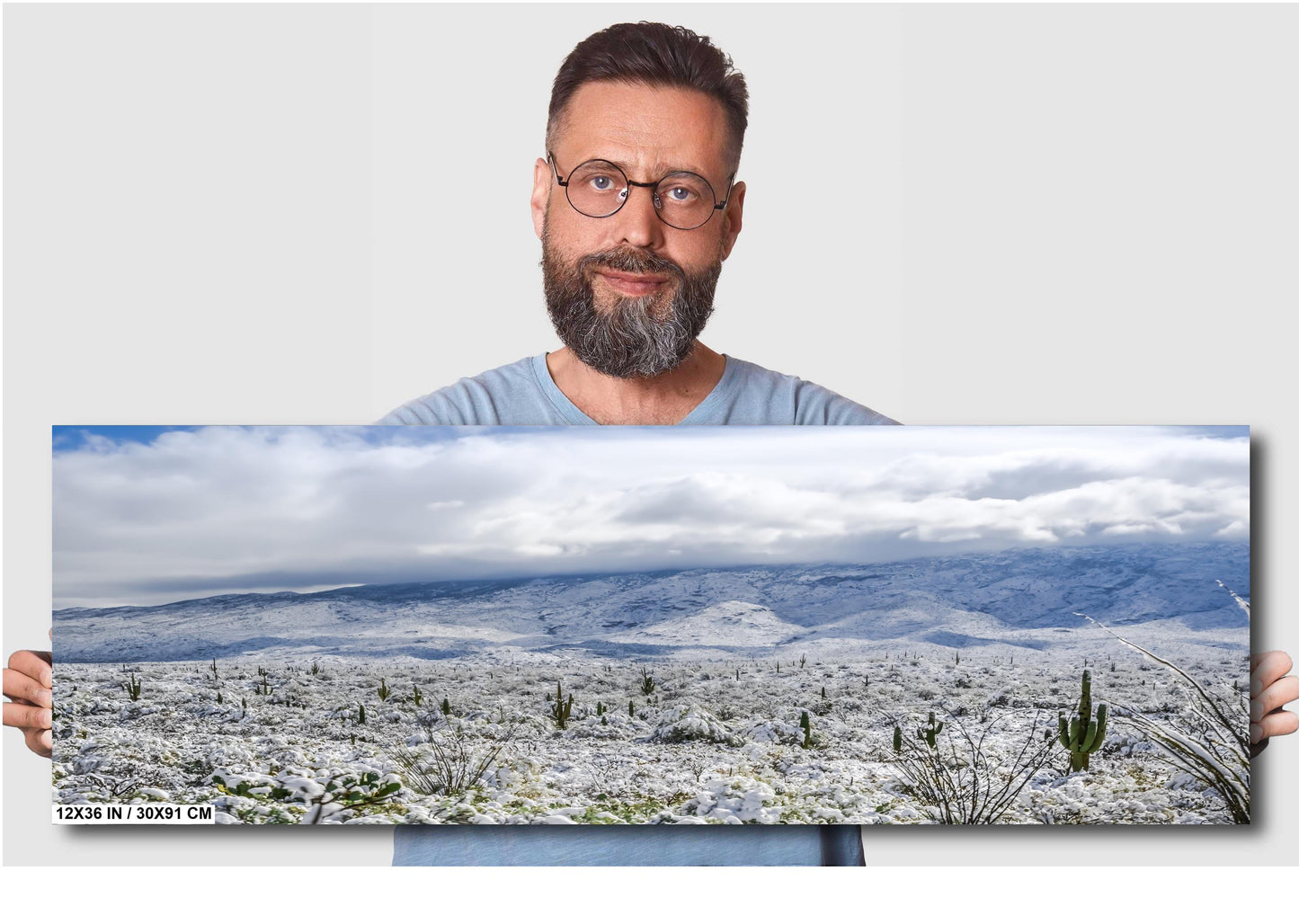 Winter’s Touch on the Desert Landscape: Saguaro National Park Print Wall Art Tucson Winter Snow Photography Aluminum/Acrylic/Metal/Canvas