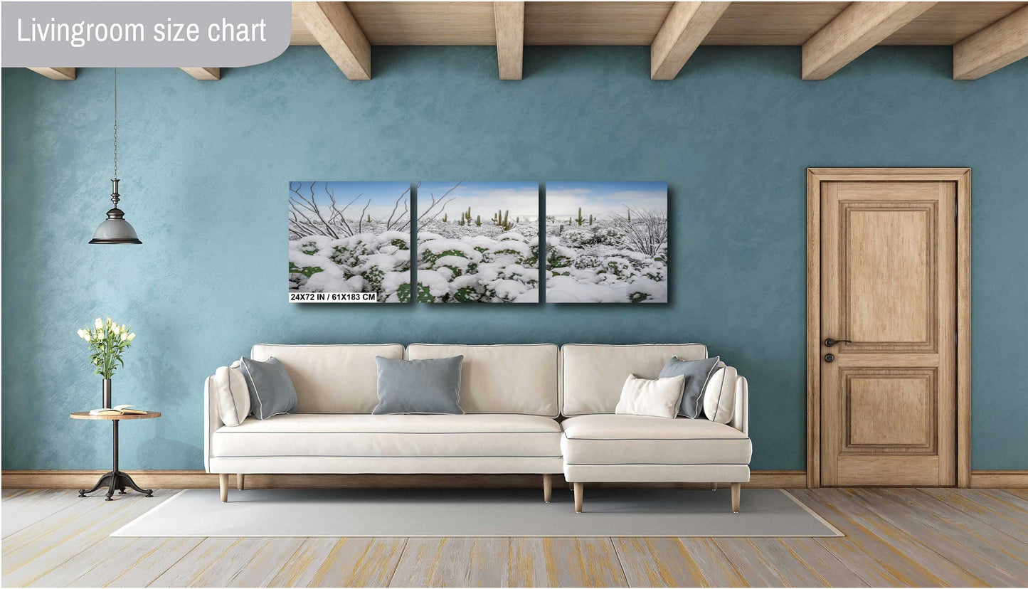 Prickly Pear Cacti in the Cold: Snowfall at Saguaro National Park Print Wall Art Tucson Winter Snow Desert Aluminum/Acrylic/Metal/Canvas