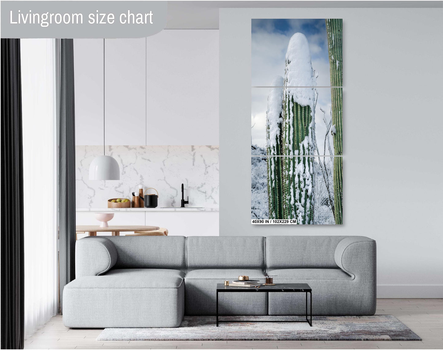 Winter’s Cactus Crown: Saguaro National Park Tucson Arizona Winter Scene Wall Art Print Snow Photography Aluminum/Acrylic/Metal/Canvas