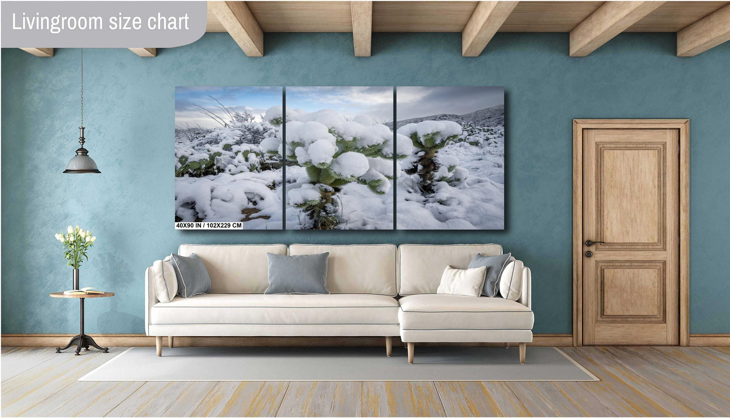 Cactus Wonderland: A Snowy Day in Arizona Saguaro National Park Tucson AZ Print Wall Art Photography Aluminum/Acrylic/Metal/Canvas