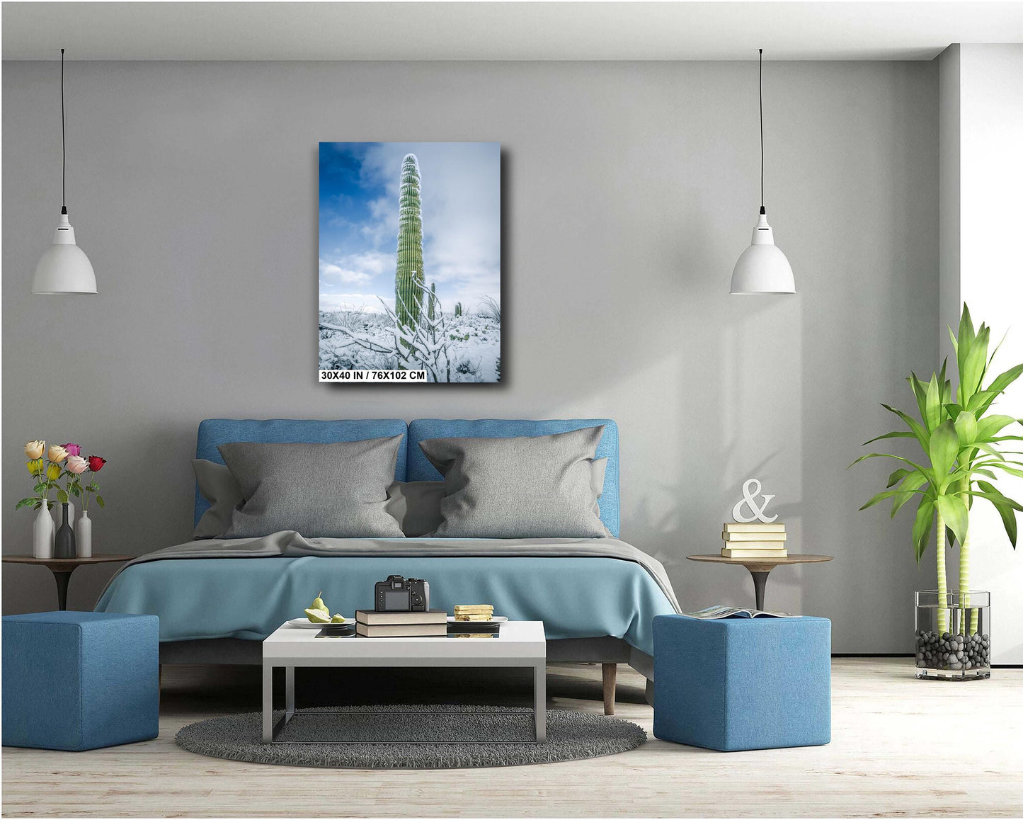 Snowy Saguaro Statue: Saguaro National Park Giant Cactus Tucson Arizona Print Wall Art Photography Aluminum/Acrylic/Metal/Canvas