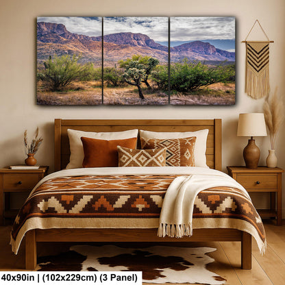 Arizona Desert Wall Art - Catalina Mountains Print | Sonoran Desert Landscape Photography