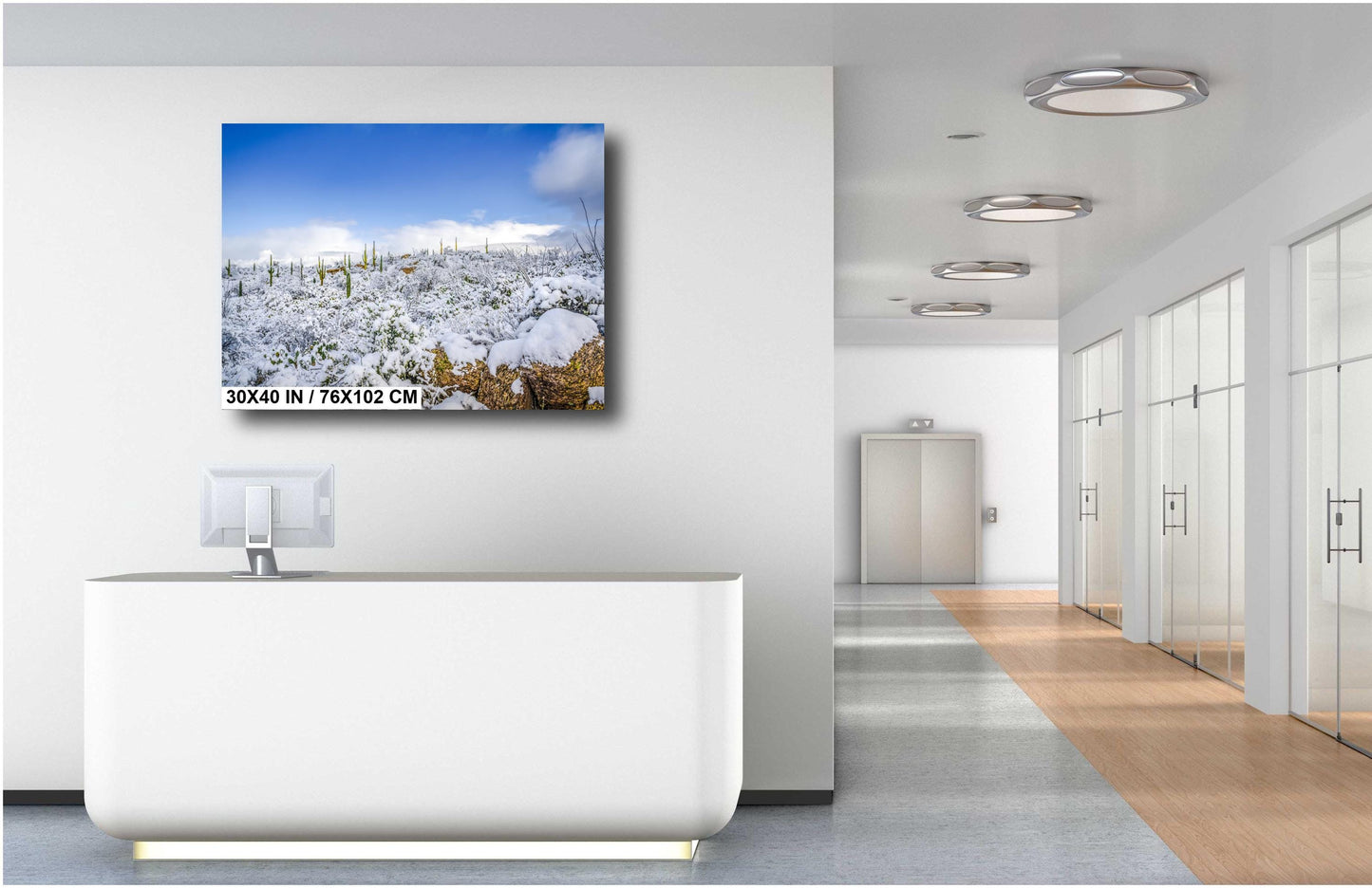 Desert Frost: Winter at Saguaro National Park Tucson Arizona Print Wall Art Winter Snow Photography Aluminum/Acrylic/Metal/Canvas Home Decor