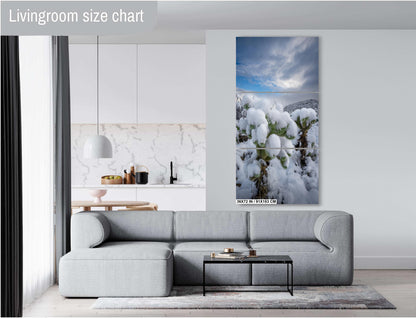 A White Canvas: Snow-Capped Jumping Cholla Saguaro National Park Tucson Arizona Print Wall Art Photography Aluminum/Acrylic/Metal/Canvas