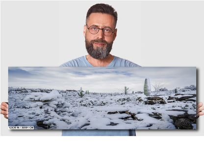 Cacti in the Cold: Snowfall at Saguaro National Park Park Print Wall Art Tucson Winter Snow Desert Photography Aluminum/Acrylic/Metal/Canvas