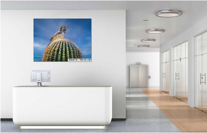 Cactus Wren on Saguaro Tucson Arizona Wildlife Nature Wall Art Photography Print, Sonoran Desert Bird Canvas Photo Blue Sky  Metal Decor