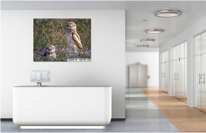 Burrowing Owls Pair Badlands National Park South Dakota Wildlife Photography Print Wall Art, Nature Bird Photo