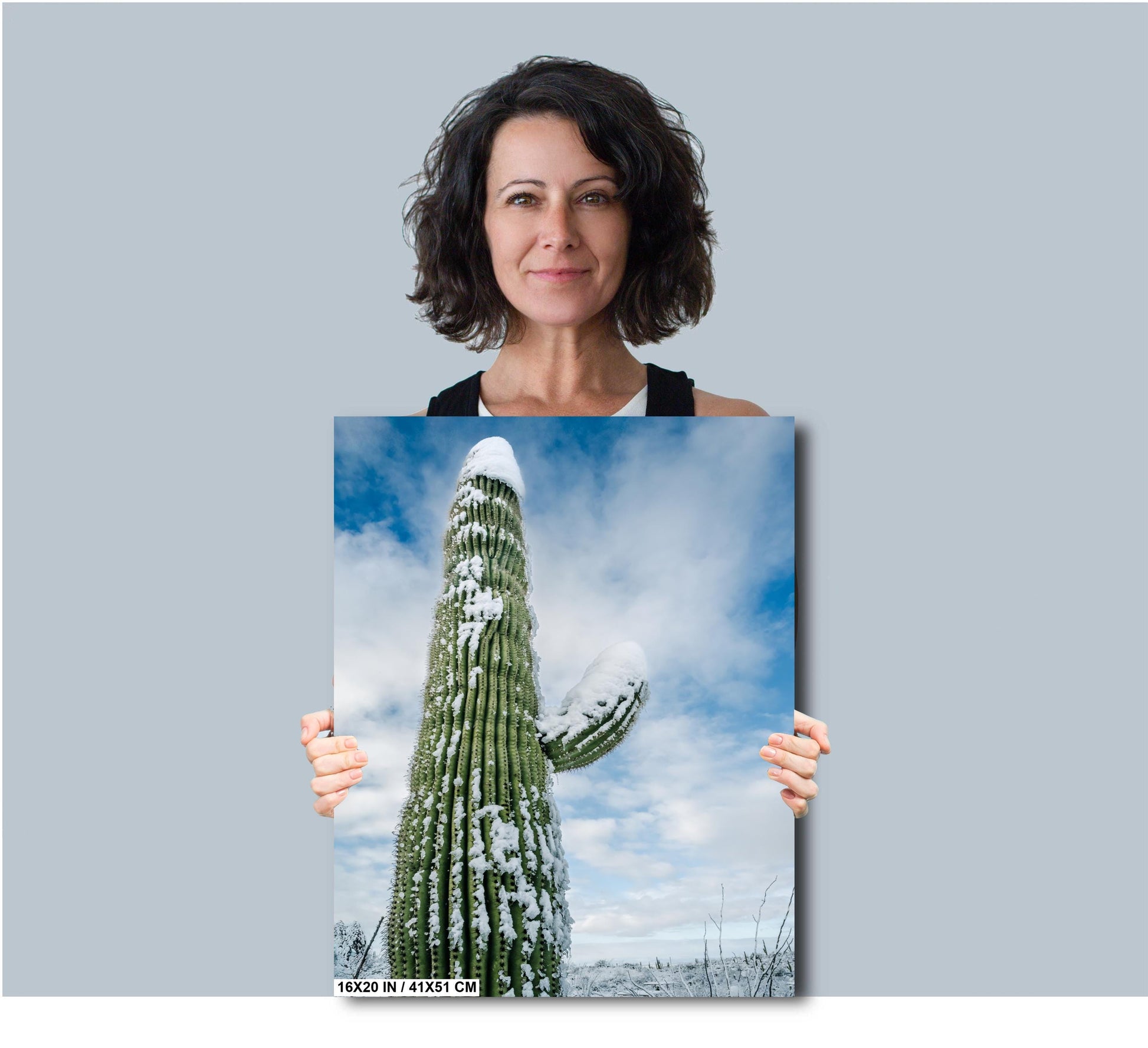 A tall saguaro cactus covered in snow under a cloudy sky, capturing the rare beauty of winter in the desert. Printed on high-quality canvas, this stunning piece highlights the contrast of desert flora in a snowy environment.