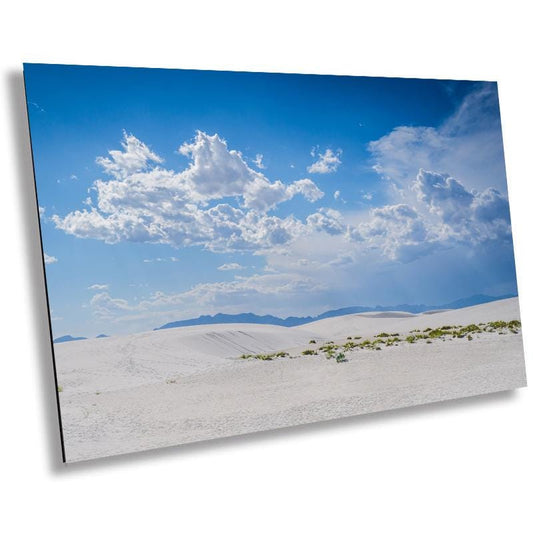 White Sands Serenity: Grass in the Shadows of White Sands National Park Wall Art Print Alamogordo, New Mexico Aluminum/Acrylic/Metal/Canvas