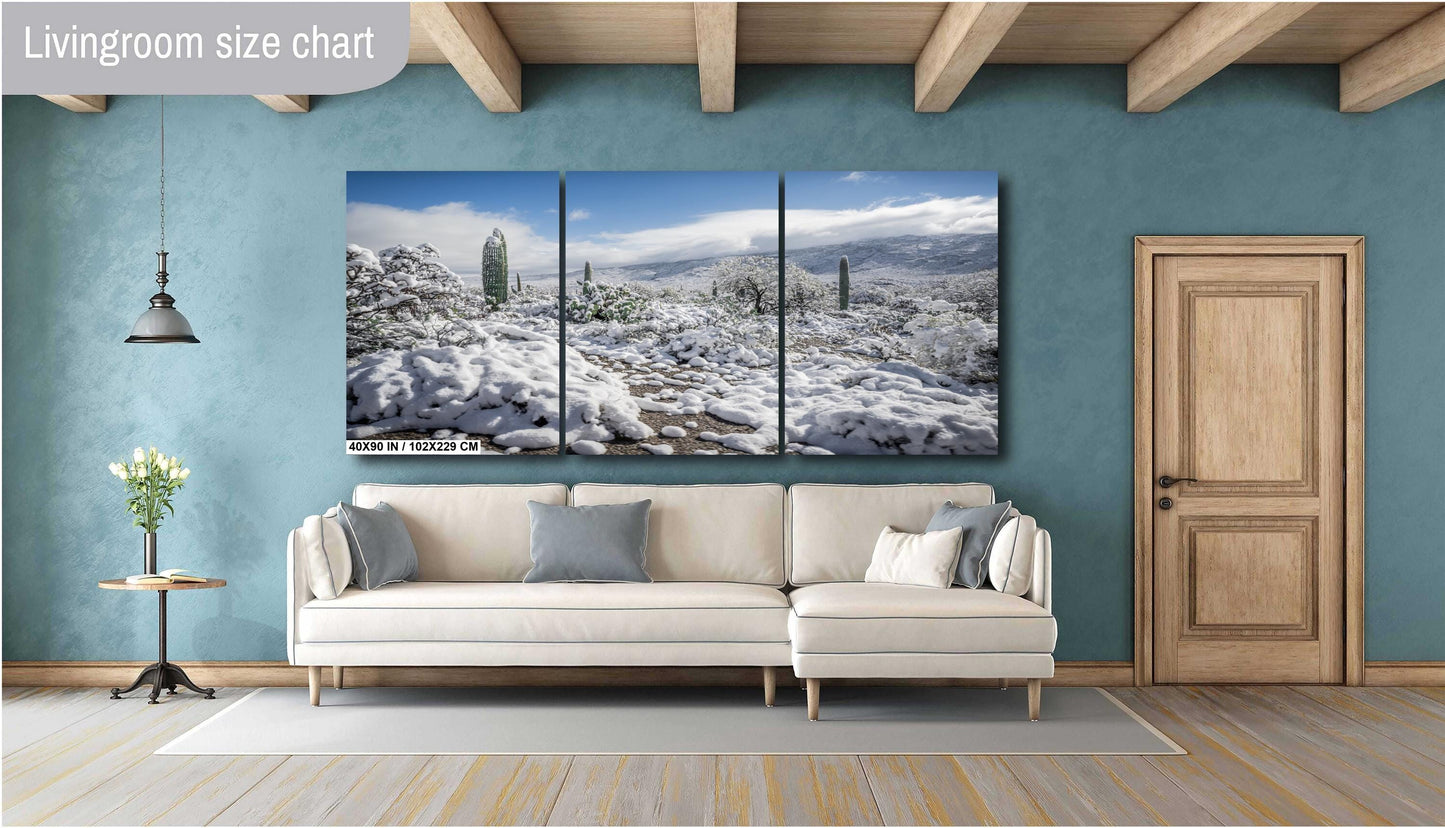 Winter Cloak Over the Saguaro National Park Print Wall Art Tucson Winter Snow Desert Photography Aluminum/Acrylic/Metal/Canvas Home Decor