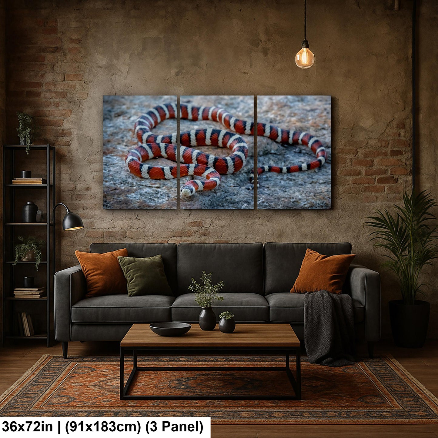 Arizona Mountain Kingsnake Print – Vibrant Desert Wildlife Art Canvas