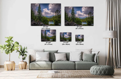 Cloud-Kissed Pines in Rocky Mountain National Park, Colorado Print Wall Art Photography Aluminum/Acrylic/Metal/Canvas Southwestern Decor