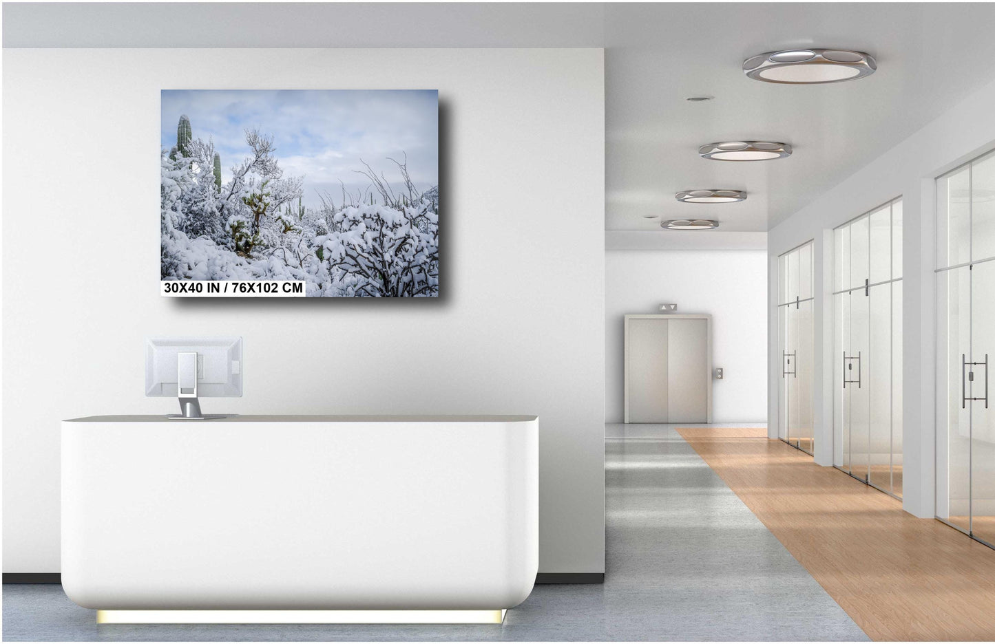 Desert’s Quiet Winter Beauty: Saguaro National Park Tucson Arizona Print Wall Art Photography Aluminum/Acrylic/Metal/Canvas