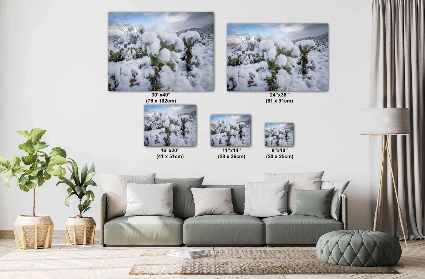 Cactus Wonderland: A Snowy Day in Arizona Saguaro National Park Tucson AZ Print Wall Art Photography Aluminum/Acrylic/Metal/Canvas