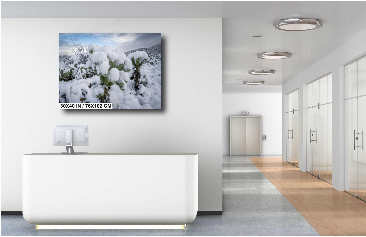 Cactus Wonderland: A Snowy Day in Arizona Saguaro National Park Tucson AZ Print Wall Art Photography Aluminum/Acrylic/Metal/Canvas