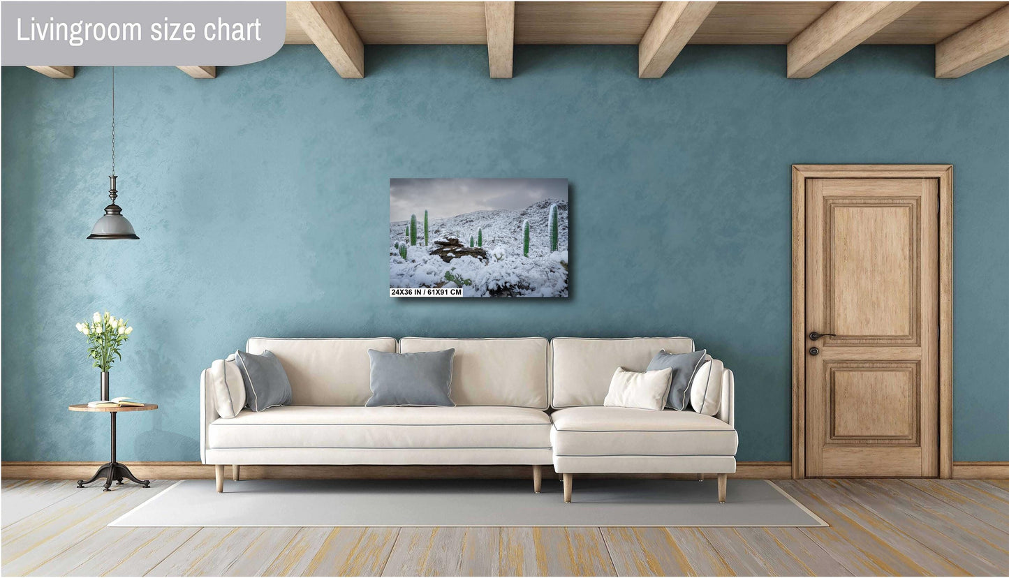 Snow-covered saguaro cacti in Arizona&#39;s desert, showcasing a rare winter scene with mountains in the background.