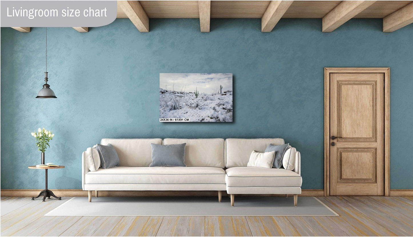 A Desert’s Frosted Moment: Saguaro National Park Print Wall Art Tucson Winter Snow Desert Photography Aluminum/Acrylic/Metal/Canvas