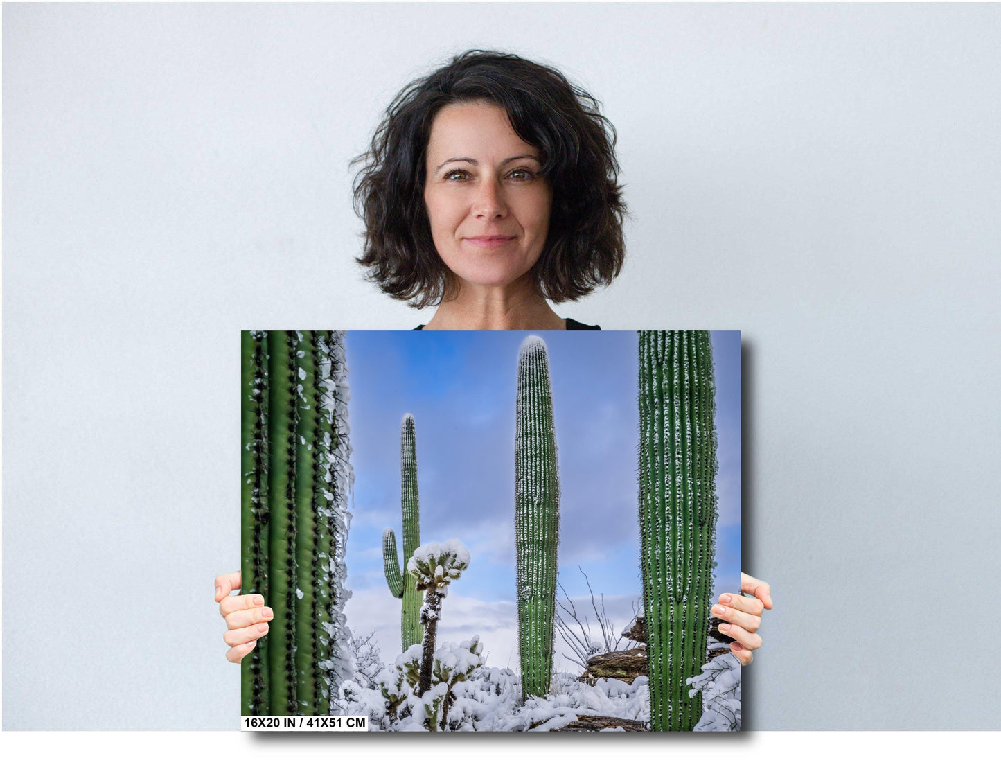 Snow-Draped Tall Cactus: Saguaro National Park Tucson Arizona Print Wall Art Photography Aluminum/Acrylic/Metal/Canvas