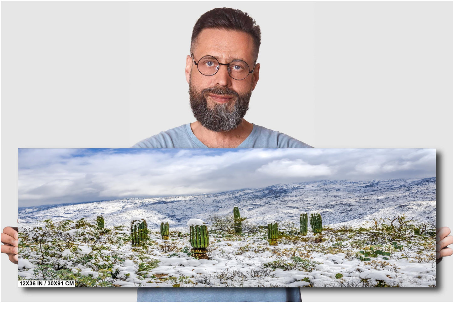 Saguaro Guardians of the Frosted Canyon: Saguaro National Park Print Wall Art Tucson Winter Snow Desert Aluminum/Acrylic/Metal/Canvas