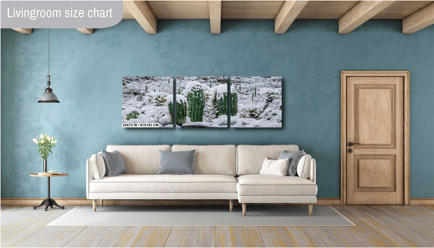 Proud Cactus Soldiers In The Snow : Snow-Capped Saguaros in Tucson Arizona Print Wall Art Photography Aluminum/Acrylic/Metal/Canvas