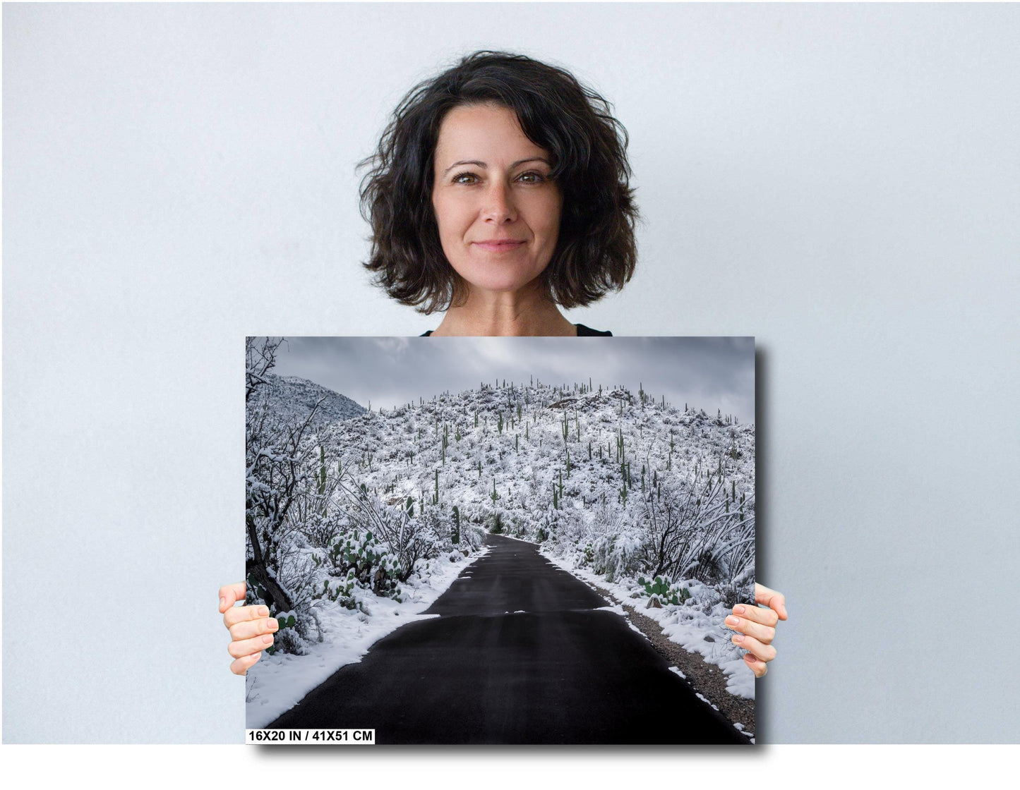 Snow-covered desert road in Saguaro National Park, Arizona, with snowy saguaro cacti lining the path.