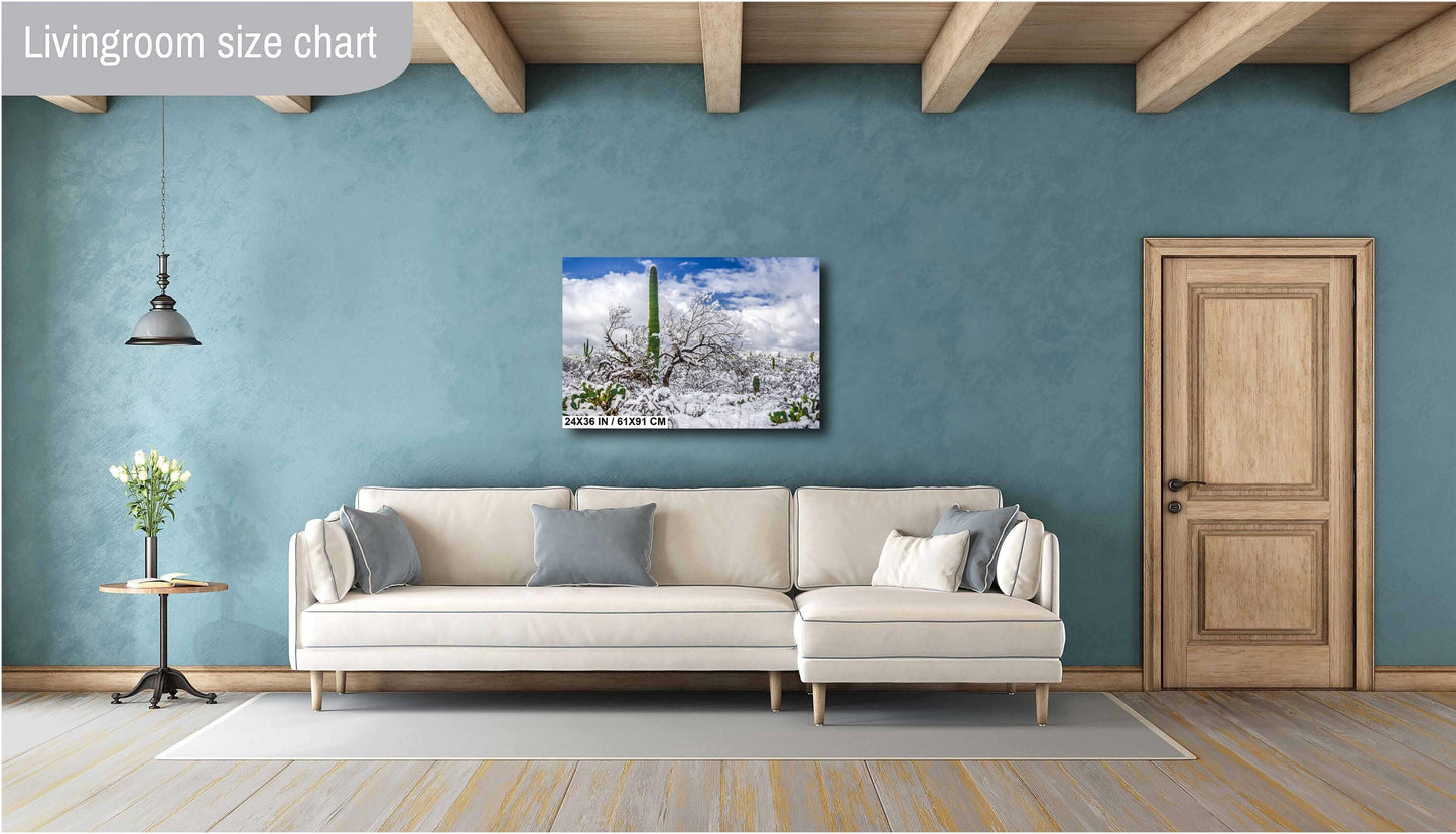 Saguaro Standing Tall in Winter’s Embrace: Saguaro National Park Print Wall Art Tucson Snow Desert Photography Aluminum/Acrylic/Metal/Canvas